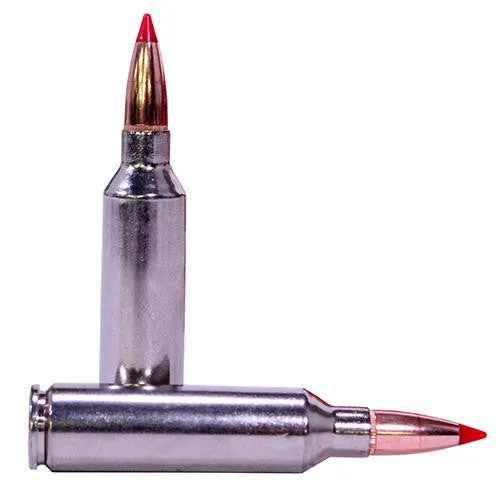 7mm Winchester Short Magnum - Premium Vital-Shok, 140 Grains, Nosler Ballistic Tip, Per 20