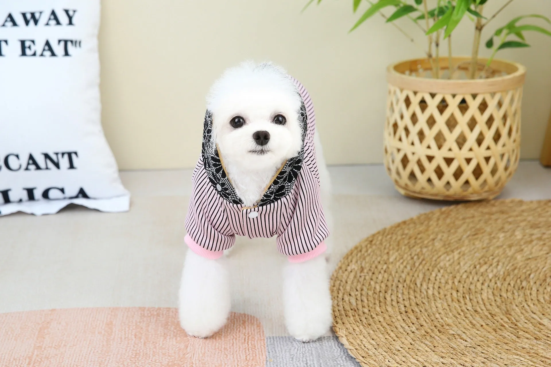 AiroPaws™ 2-Piece Plush Warm Dog Clothes for Small & Medium-Sized Dogs | Autumn & Winter Thickened Hooded Coat for Bichon, Teddy, French Bulldog | Cool Silk Stripe Design