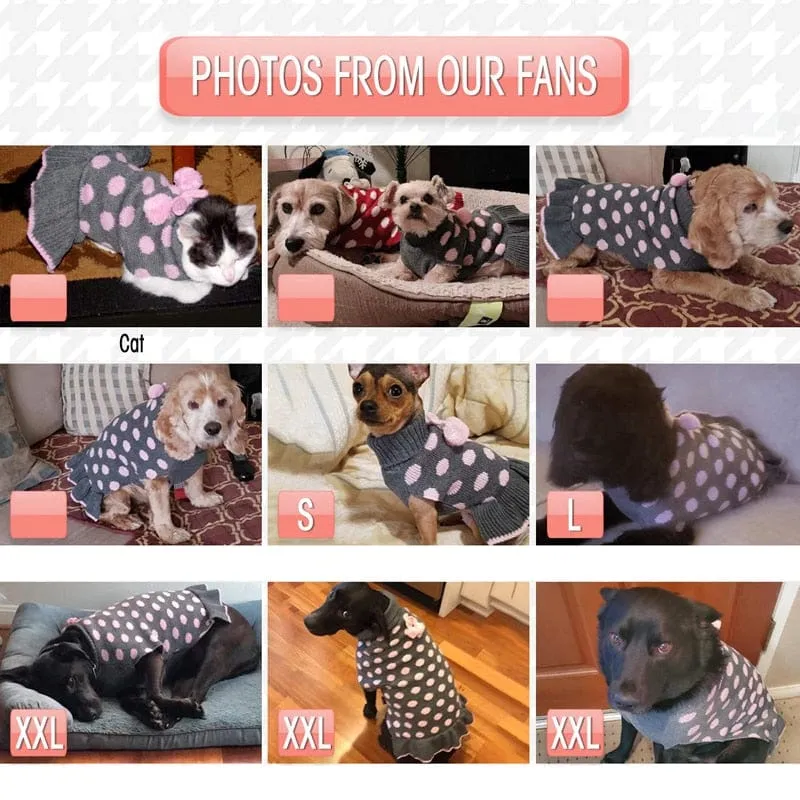 DIVA Pet Polka Dot Sweater Dress