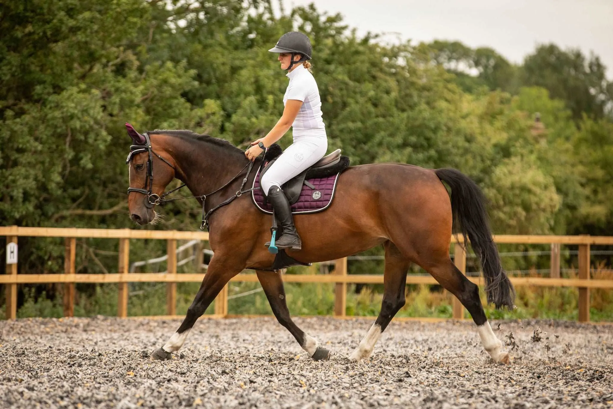 Equestrian Competition Riding Tights/Leggings