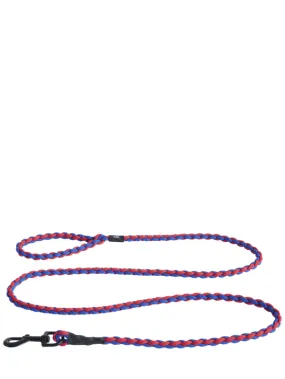 HAY   Braided dog leash 