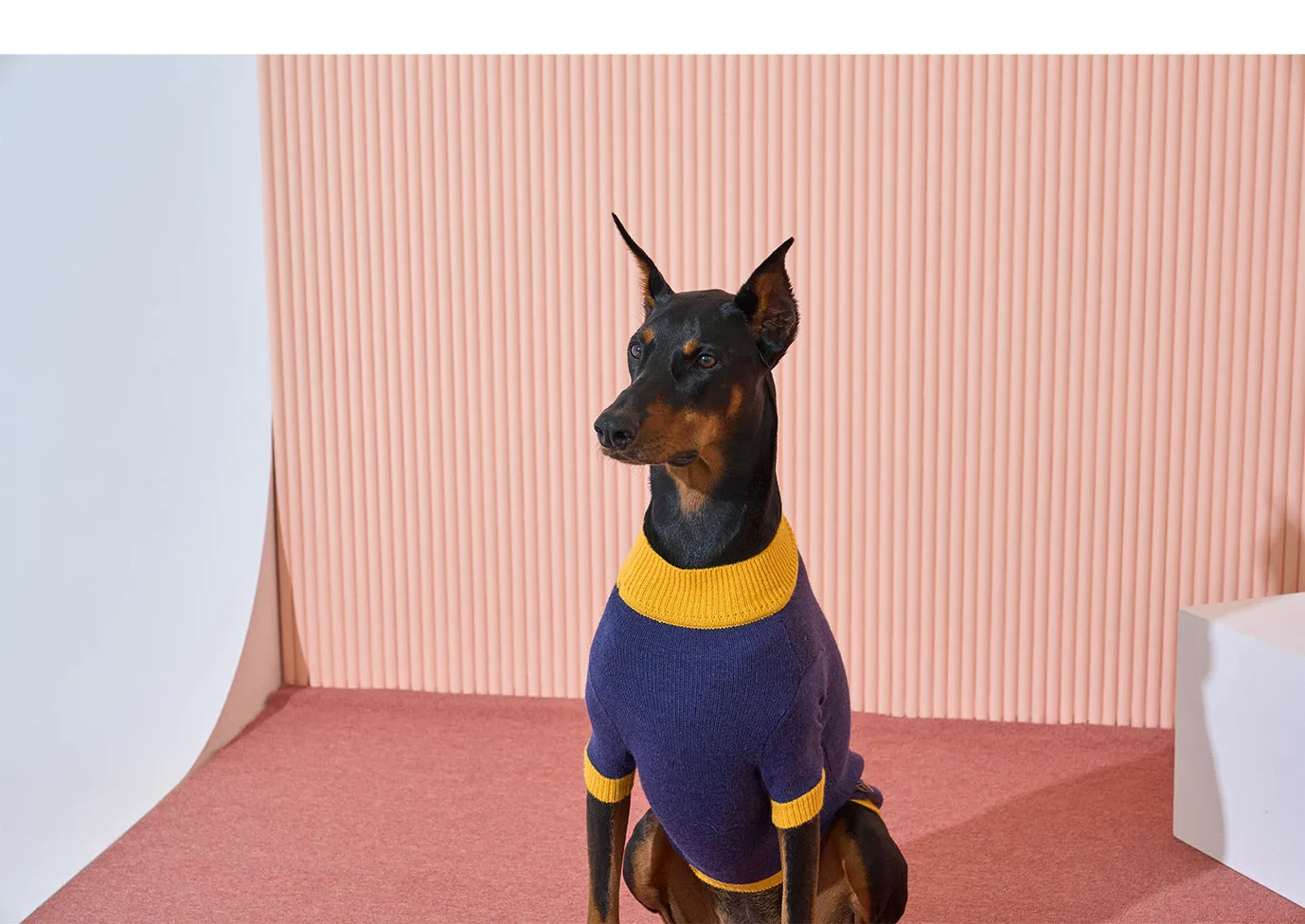 Korean Design Happy Pet Knitted Jumper for Dogs / Cats