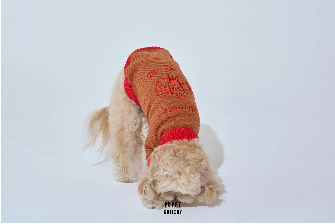 Korean Design Happy Pet Knitted Jumper for Dogs / Cats