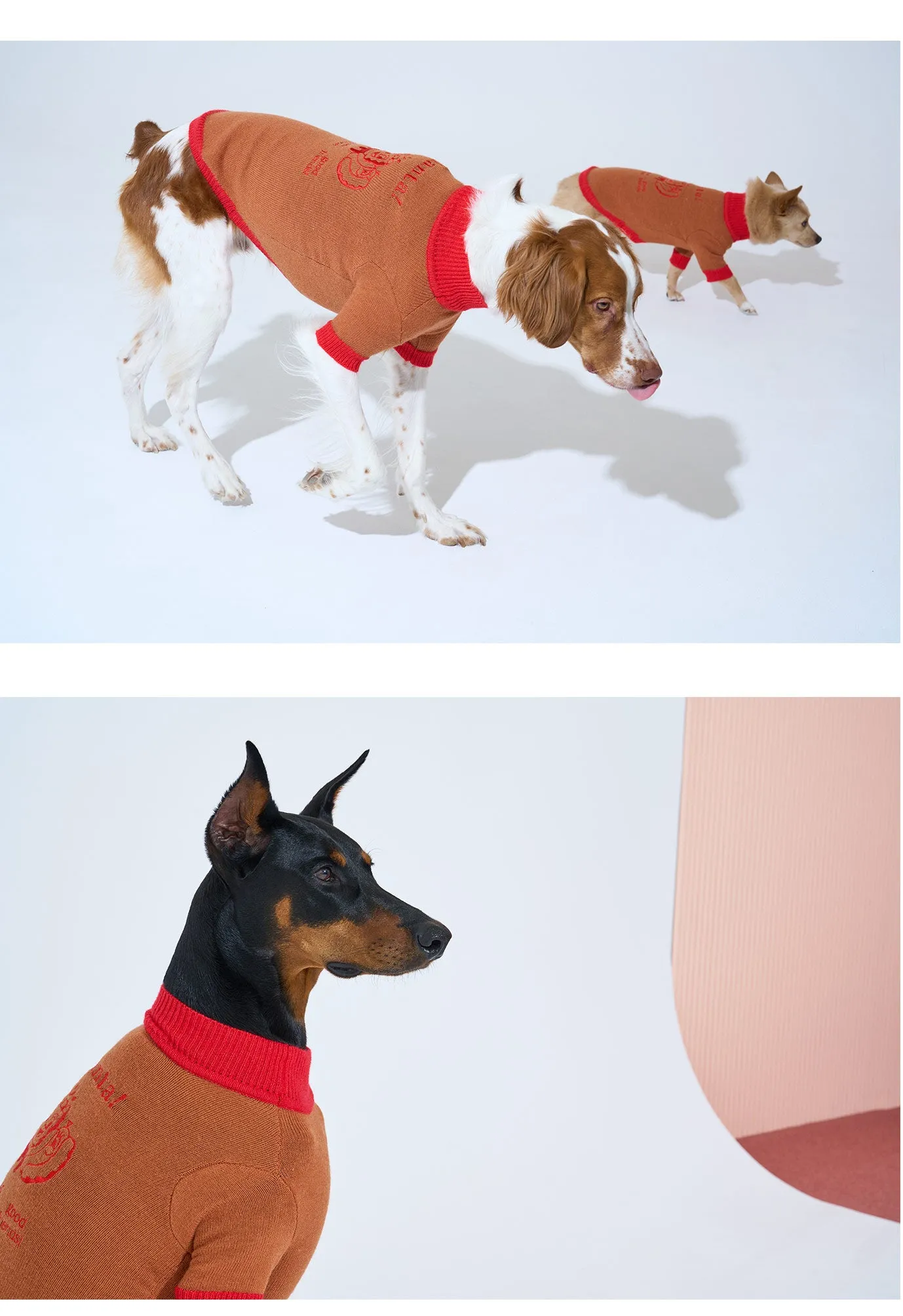 Korean Design Happy Pet Knitted Jumper for Dogs / Cats