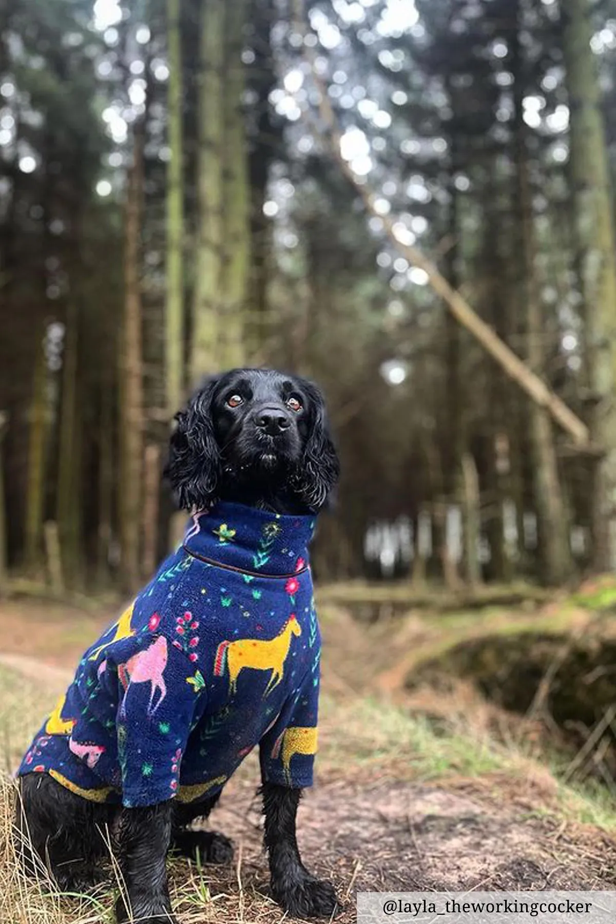 Patterned Fleece Dog Jumper - Yapham