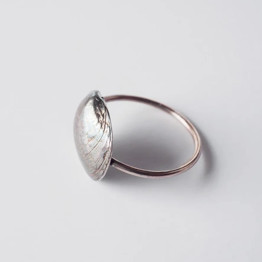 Romantic clam - ring - silver 925 - rainbow patina