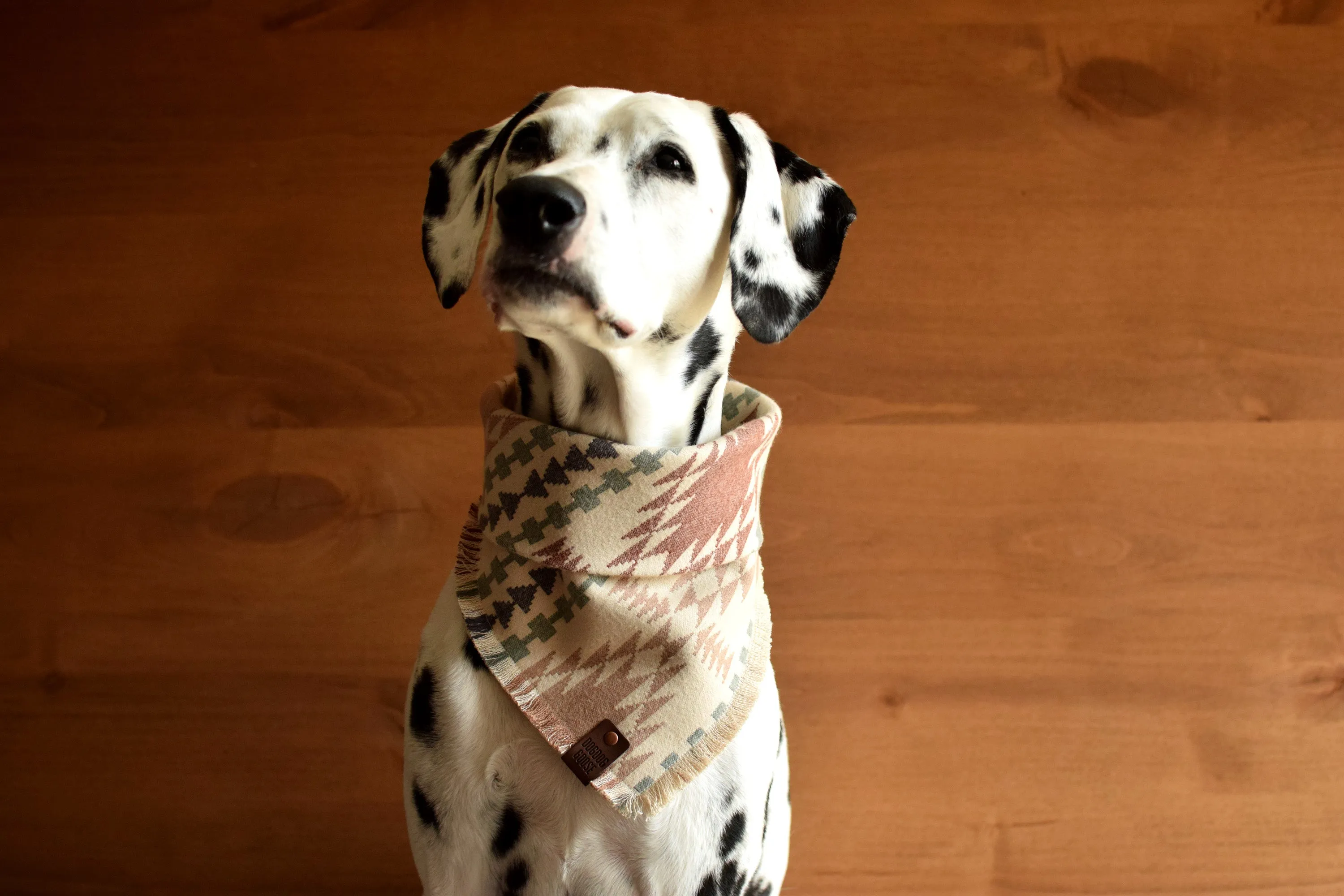 TUCSON Luxe Fringed Flannel Dog Bandana - Snap/Tie On Cotton Scarf