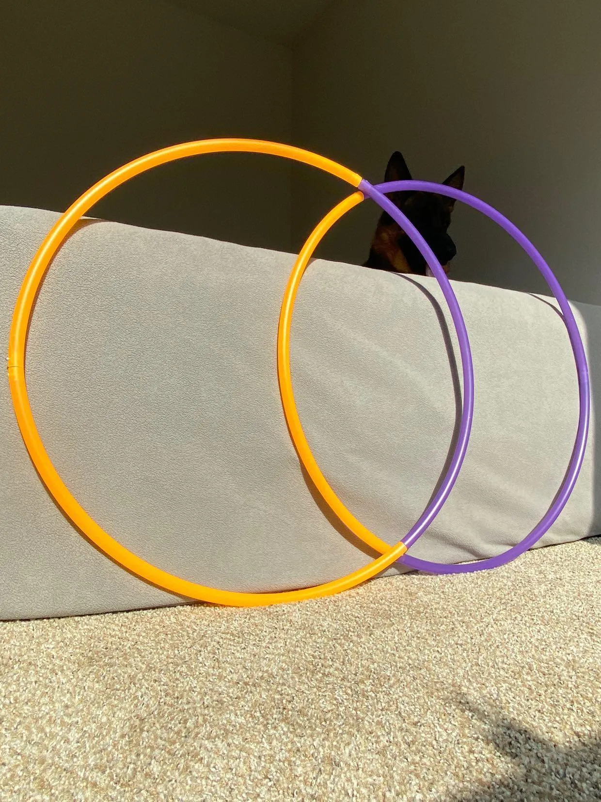 Uv orange & uv purple 4 Piece Bare Sectional Hoop