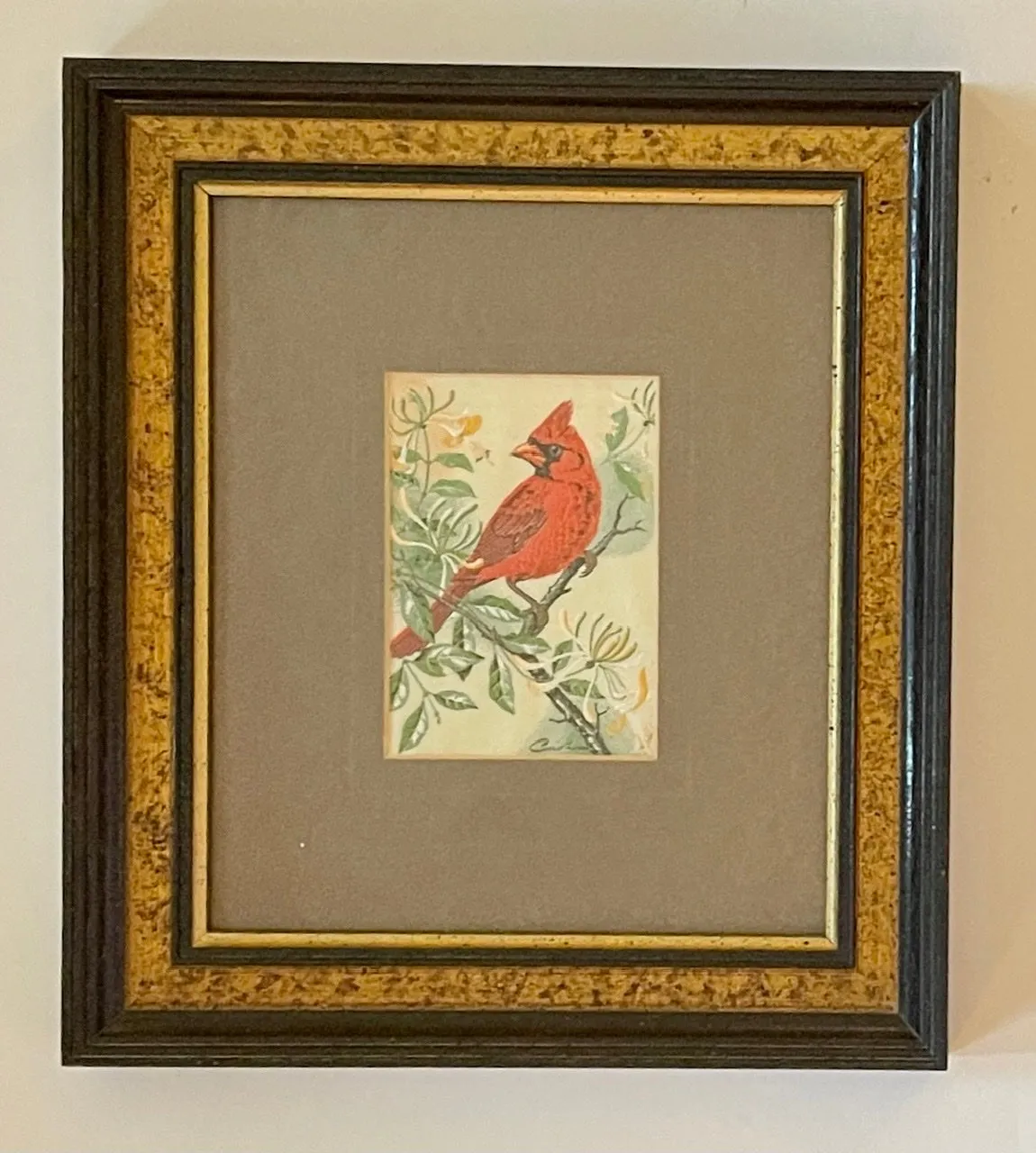 Vintage Red Cardinal in English Woven Silk - Matted & Framed